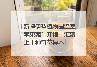 新疆伊犁植物园温室“苹果苑”开馆，汇聚上千种奇花异木