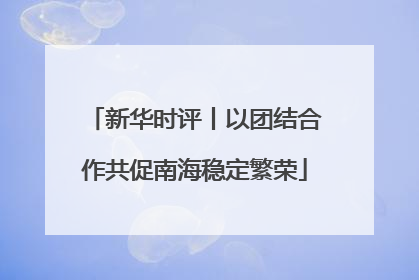 新华时评丨以团结合作共促南海稳定繁荣