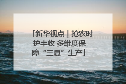 新华视点｜抢农时 护丰收 多维度保障“三夏”生产
