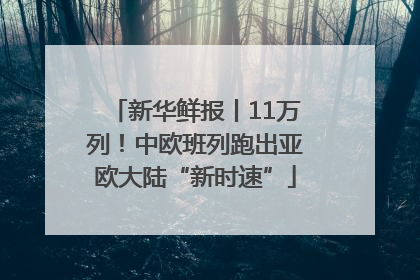 新华鲜报丨11万列！中欧班列跑出亚欧大陆“新时速”