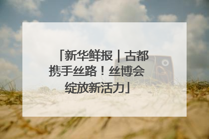 新华鲜报｜古都携手丝路！丝博会绽放新活力