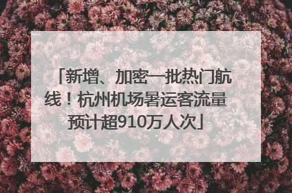 新增、加密一批热门航线！杭州机场暑运客流量预计超910万人次