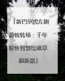 新巴尔虎左旗游牧转场：千年轮牧智慧绘就草原新景