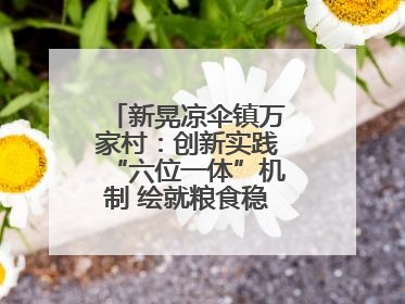新晃凉伞镇万家村：创新实践“六位一体”机制 绘就粮食稳产增收新图景