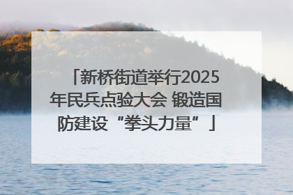 新桥街道举行2025年民兵点验大会 锻造国防建设“拳头力量”