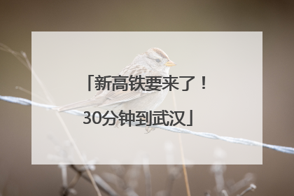 新高铁要来了！30分钟到武汉