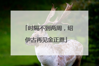 时隔不到两周，绍伊古再见金正恩