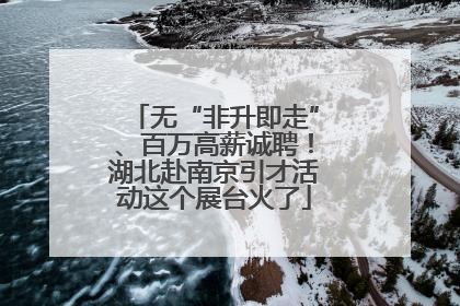 无“非升即走”、百万高薪诚聘！湖北赴南京引才活动这个展台火了