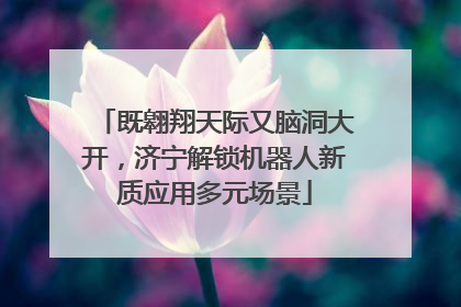 既翱翔天际又脑洞大开，济宁解锁机器人新质应用多元场景