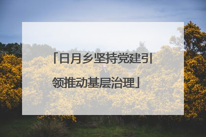 日月乡坚持党建引领推动基层治理