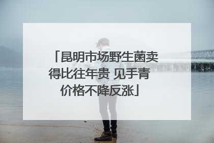 昆明市场野生菌卖得比往年贵 见手青价格不降反涨