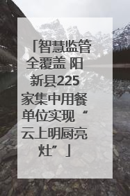 智慧监管全覆盖 阳新县225家集中用餐单位实现“云上明厨亮灶”