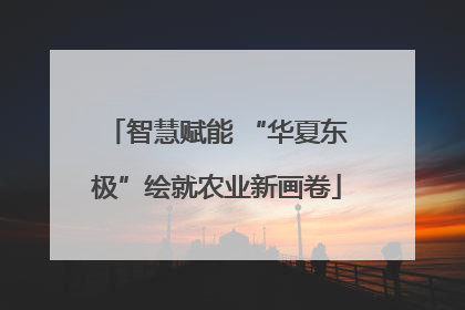 智慧赋能 “华夏东极”绘就农业新画卷