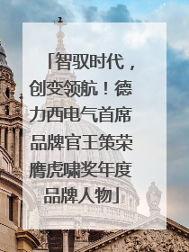 智驭时代，创变领航！德力西电气首席品牌官王策荣膺虎啸奖年度品牌人物
