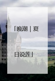 晚潮｜夏日说莲