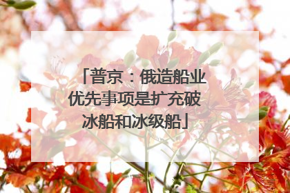 普京：俄造船业优先事项是扩充破冰船和冰级船