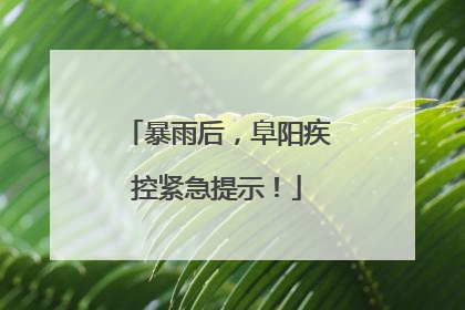 暴雨后，阜阳疾控紧急提示！