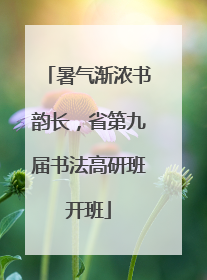 暑气渐浓书韵长，省第九届书法高研班开班