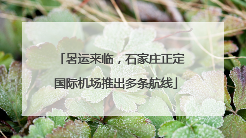 暑运来临，石家庄正定国际机场推出多条航线