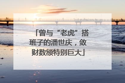曾与“老虎”搭班子的潘世庆，敛财数额特别巨大