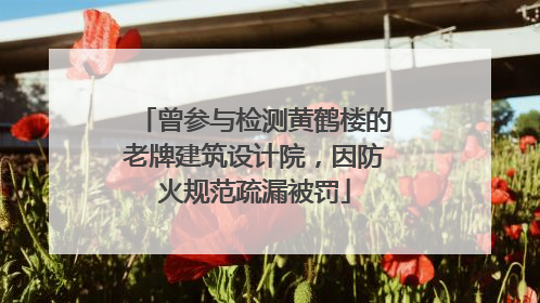 曾参与检测黄鹤楼的老牌建筑设计院，因防火规范疏漏被罚