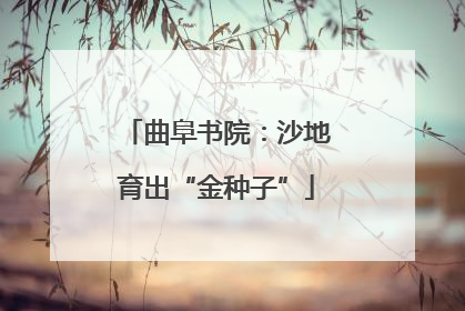 曲阜书院：沙地育出“金种子”