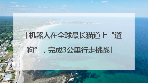 机器人在全球最长猫道上“遛狗”，完成3公里行走挑战