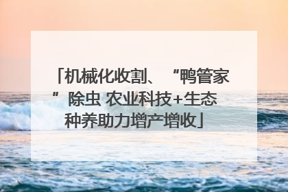 机械化收割、“鸭管家”除虫 农业科技+生态种养助力增产增收