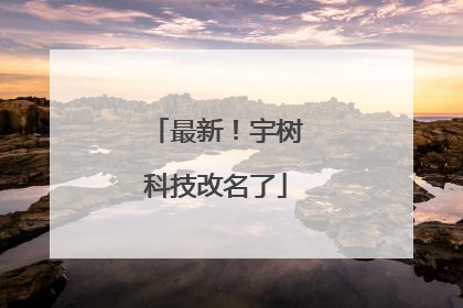 最新！宇树科技改名了