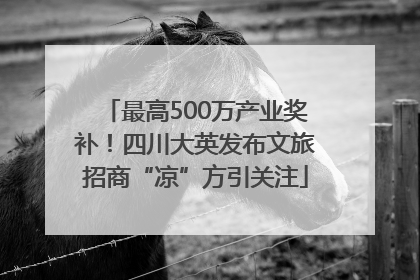 最高500万产业奖补！四川大英发布文旅招商“凉”方引关注