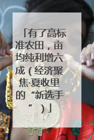 有了高标准农田，亩均纯利增六成（经济聚焦·夏收里的“新选手”）