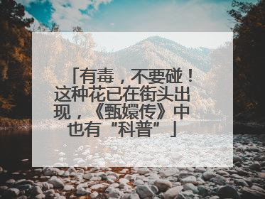 有毒，不要碰！这种花已在街头出现，《甄嬛传》中也有“科普”