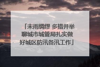 未雨绸缪 多措并举 聊城市城管局扎实做好城区防汛备汛工作