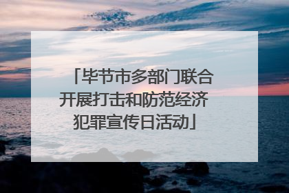 毕节市多部门联合开展打击和防范经济犯罪宣传日活动