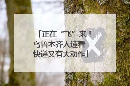 正在“飞”来！乌鲁木齐人速看 快递又有大动作