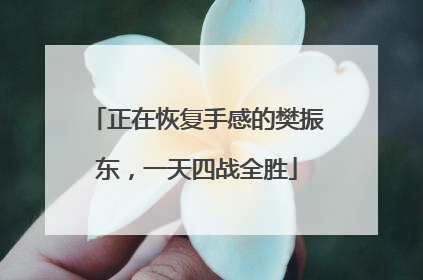 正在恢复手感的樊振东，一天四战全胜