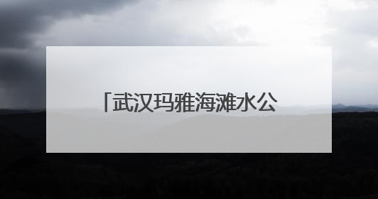 武汉玛雅海滩水公园7日正式开园 后续将推出夏浪音乐节等精彩活动