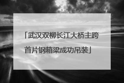 武汉双柳长江大桥主跨首片钢箱梁成功吊装
