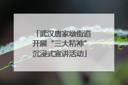 武汉唐家墩街道开展“三大精神”沉浸式宣讲活动