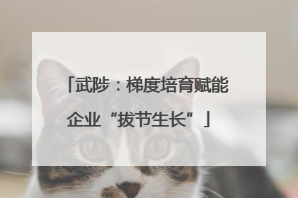 武陟：梯度培育赋能企业“拔节生长”