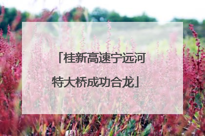 桂新高速宁远河特大桥成功合龙