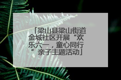 梁山县梁山街道金城社区开展“欢乐六一，童心同行”亲子主题活动