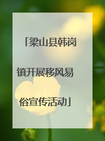 梁山县韩岗镇开展移风易俗宣传活动