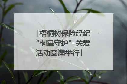 梧桐树保险经纪“桐星守护”关爱活动圆满举行