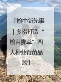榆中新先事｜多措打造“榆苗陇萃”四大种业育苗品牌