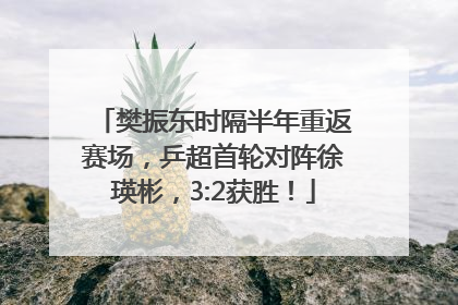 樊振东时隔半年重返赛场，乒超首轮对阵徐瑛彬，3:2获胜！