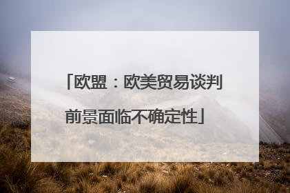 欧盟：欧美贸易谈判前景面临不确定性