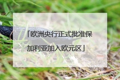 欧洲央行正式批准保加利亚加入欧元区