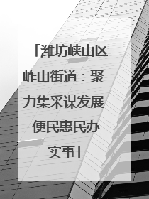 潍坊峡山区岞山街道：聚力集采谋发展 便民惠民办实事