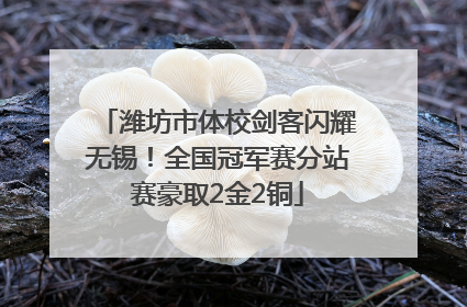 潍坊市体校剑客闪耀无锡！全国冠军赛分站赛豪取2金2铜